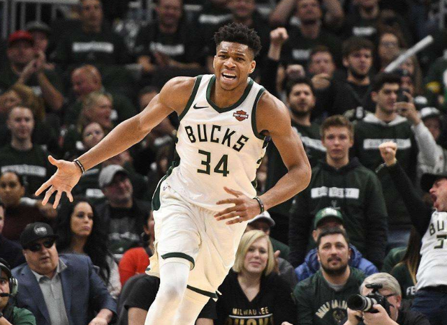 总冠军数量 总冠军数量