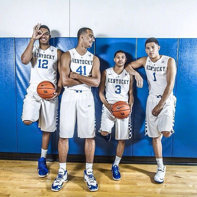 牛棚稳定与 牛棚稳定与